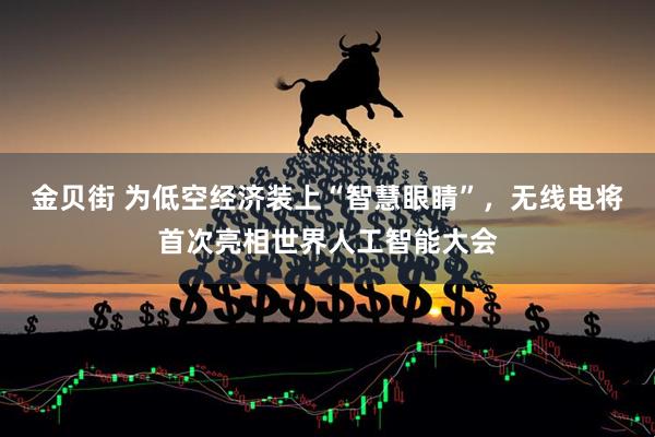 金贝街 为低空经济装上“智慧眼睛”，无线电将首次亮相世界人工智能大会