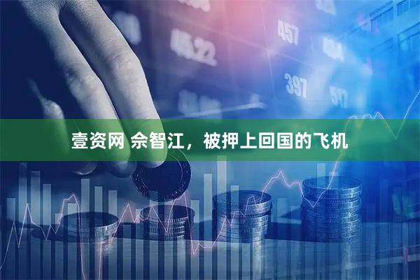 壹资网 佘智江，被押上回国的飞机