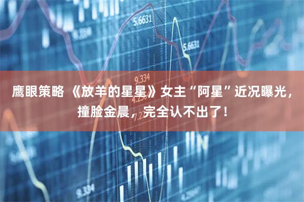 鹰眼策略 《放羊的星星》女主“阿星”近况曝光，撞脸金晨，完全认不出了！