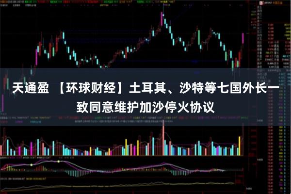 天通盈 【环球财经】土耳其、沙特等七国外长一致同意维护加沙停火协议