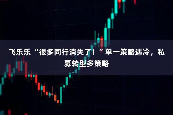 飞乐乐 “很多同行消失了！”单一策略遇冷，私募转型多策略