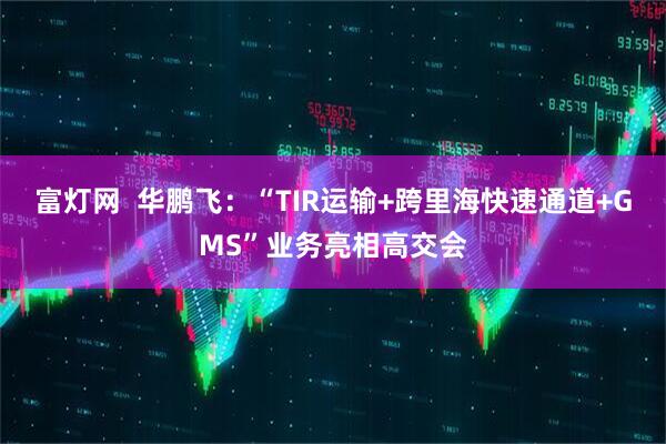 富灯网  华鹏飞：“TIR运输+跨里海快速通道+GMS”业务亮相高交会